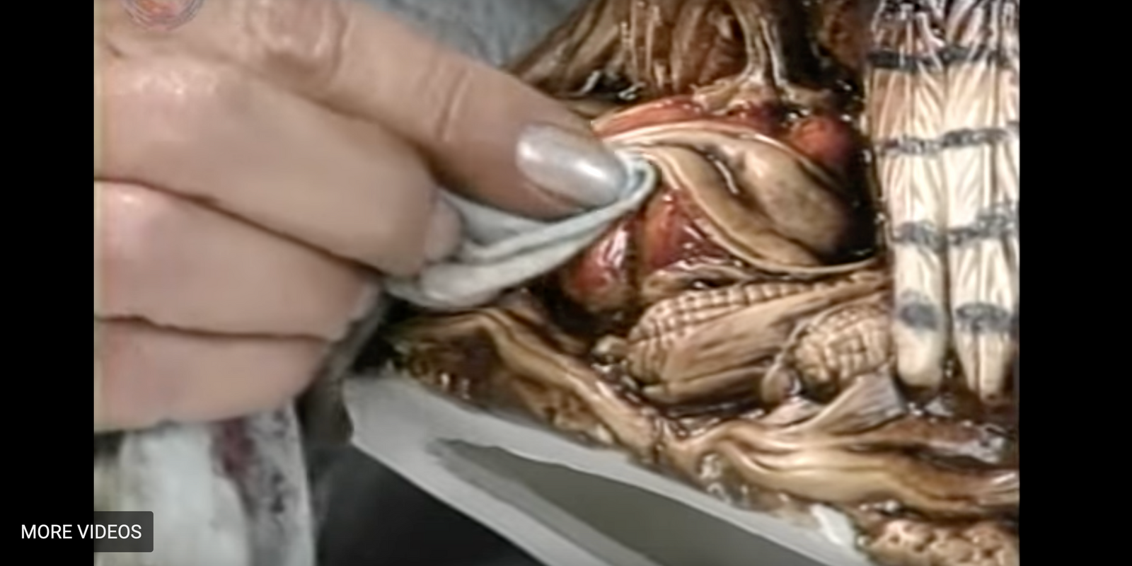 Fashenhues Techniques, vol. 1